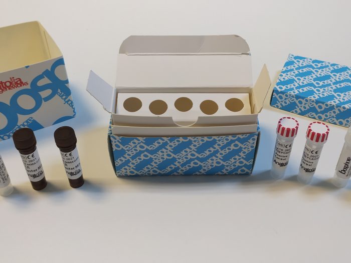 Image of Bosphore Respiratory Pathogens Mini Panel Bundle Kit