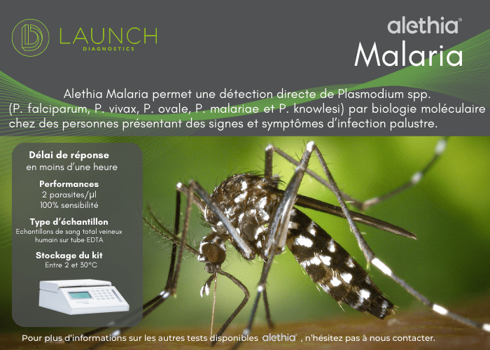 Image of Alethia Malaria